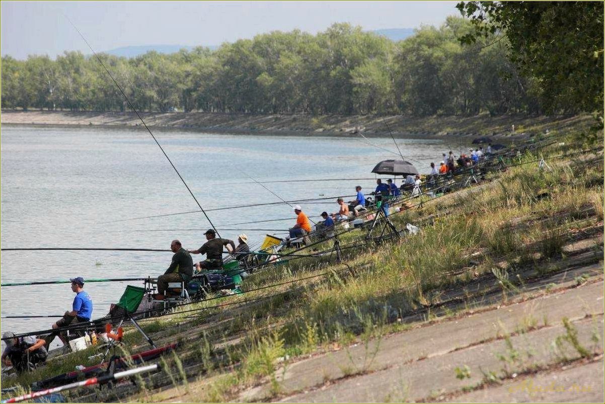 Базы отдыха для рыбалки в Самарской области на Волге