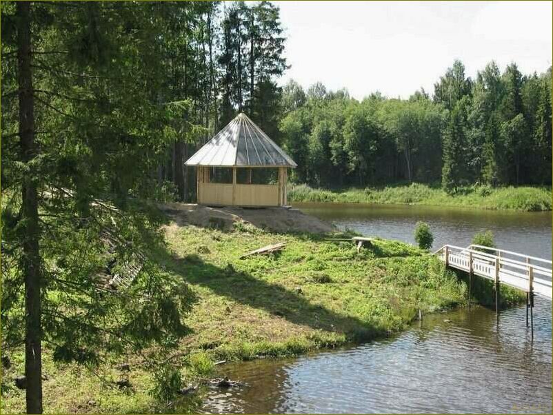 Базы отдыха в Никольске Вологодской области — лучшие места для отдыха на природе