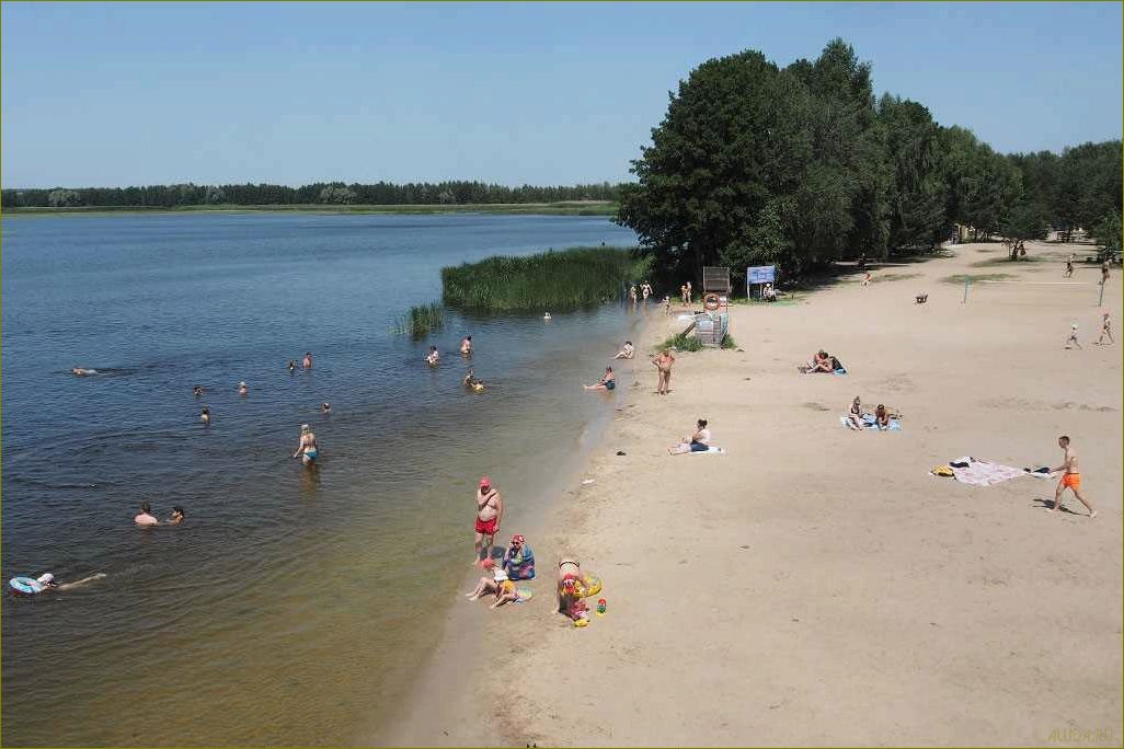 Дон — удивительное место для отдыха в Воронежской области, где сливаются воедино красота природы, богатый культурный наследие и множество развлечений!