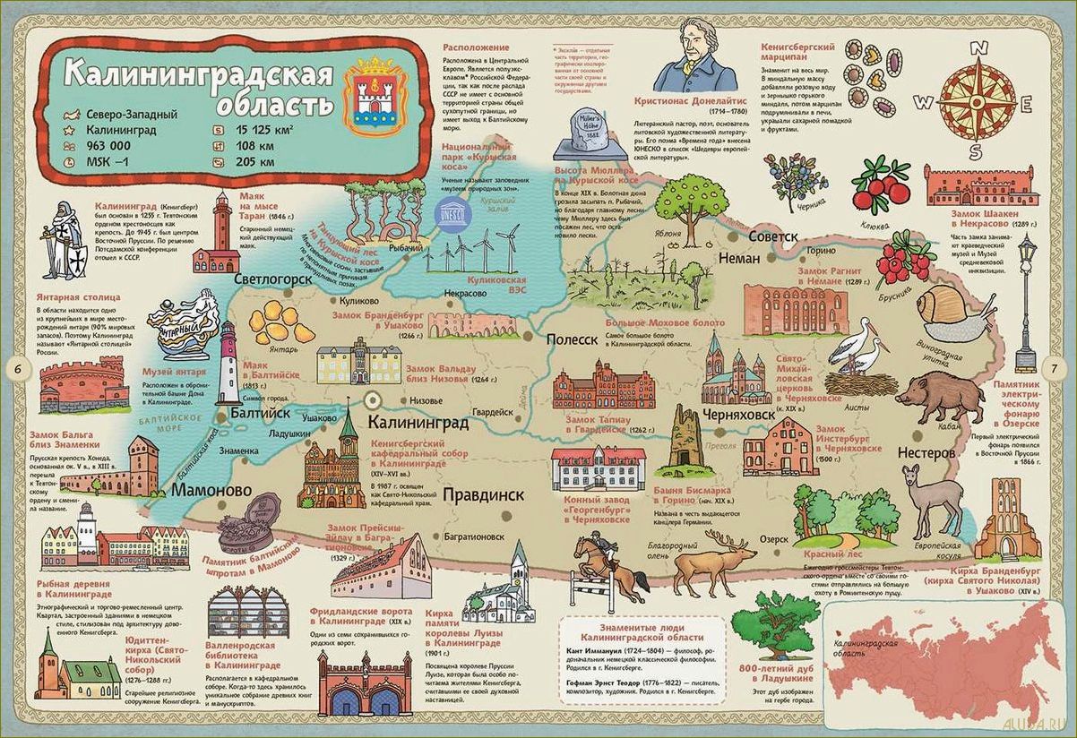 Путешествия по городам Калининградской области — история, культура и невероятные приключения
