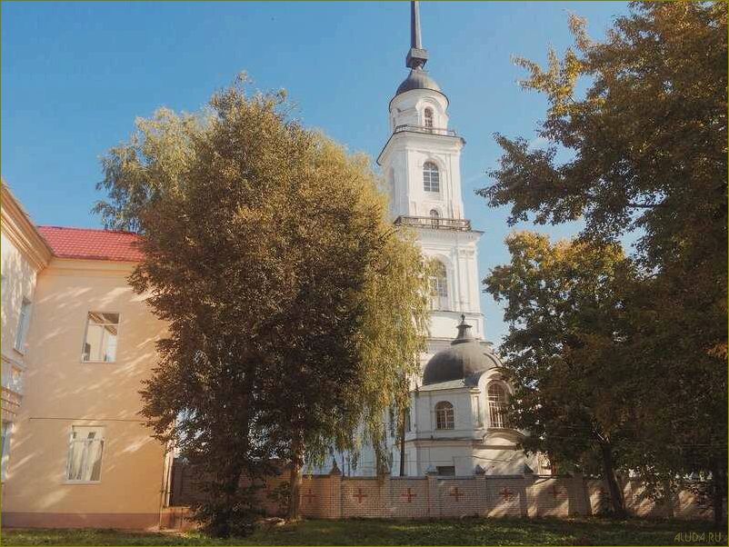 Отдых в живописной природе Брянской области — идеальное место для релаксации и восстановления сил