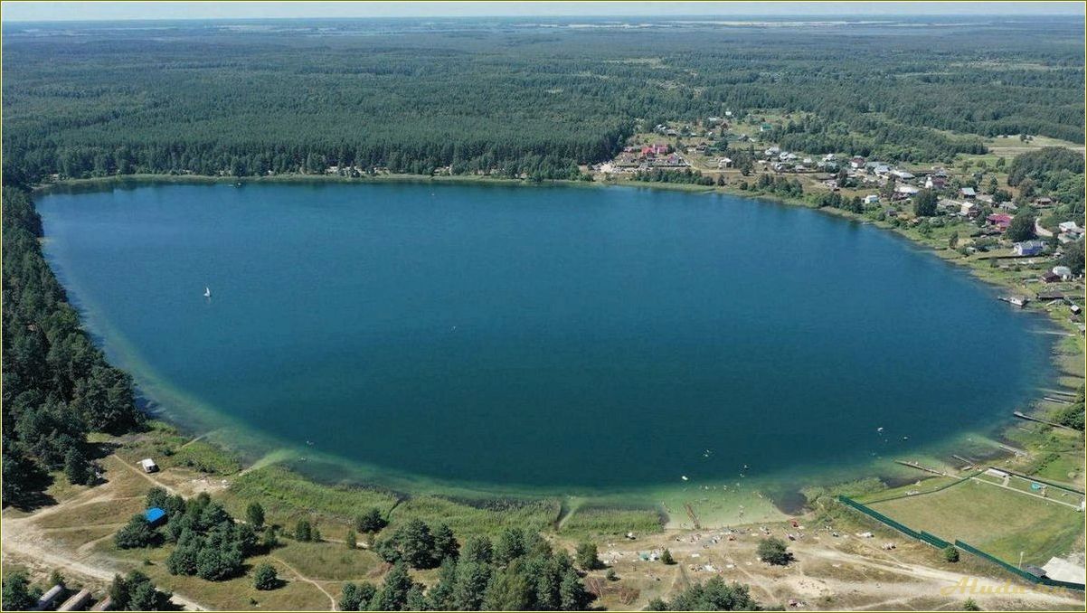 Отдых в подмосковье Рязанская область — лучшие места для активного отдыха и релаксации