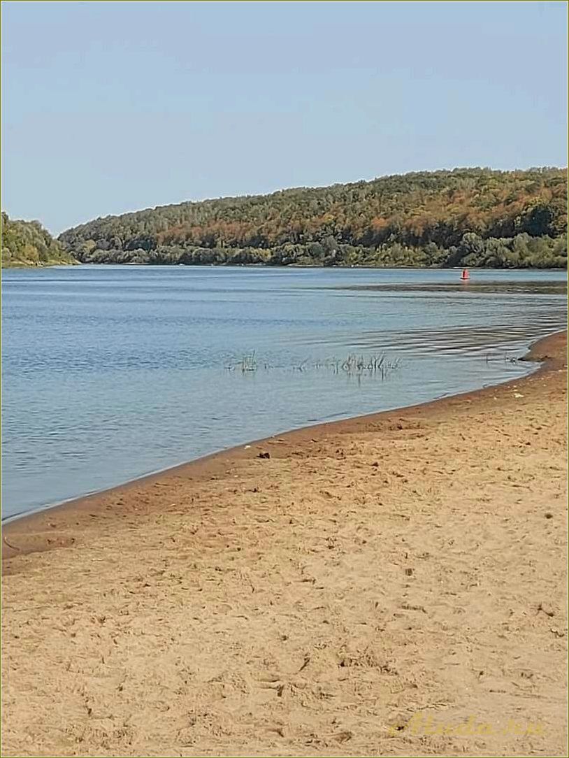 Отдых в Алексине, Тульская область