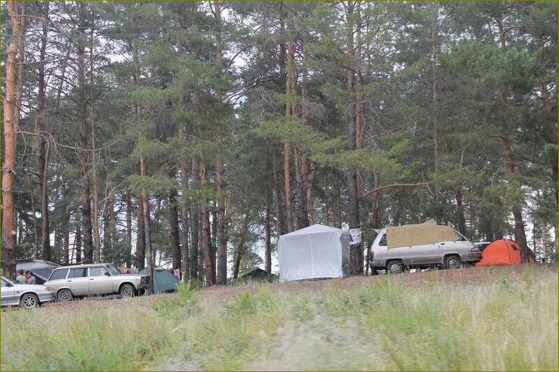 Отдых в сосновой роще Курганской области — наслаждение природой и аутентичный опыт отдыха в дикарском стиле