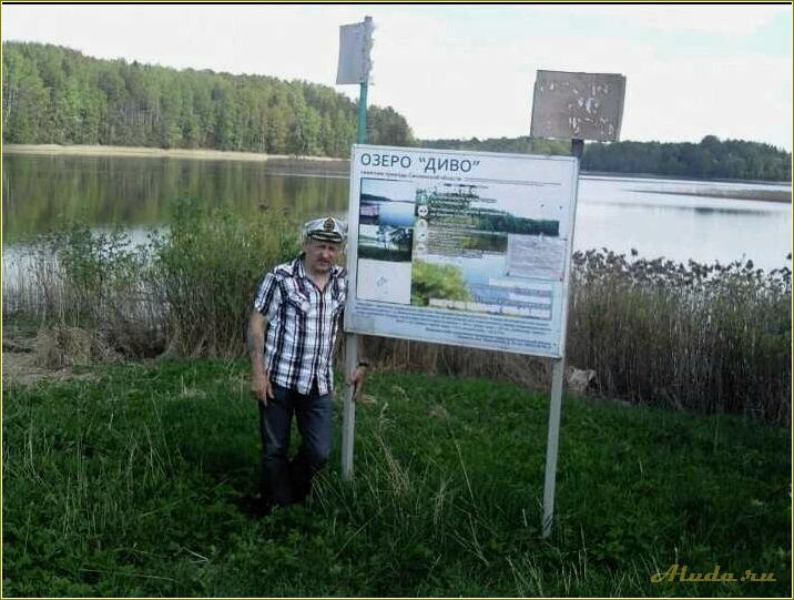 Озеро Диво: база отдыха в Смоленской области