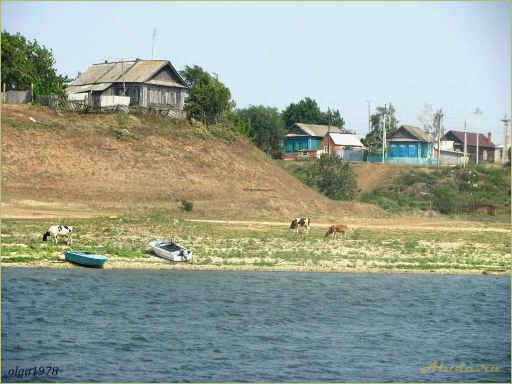 Село Воскресенское Саратовская область отдых