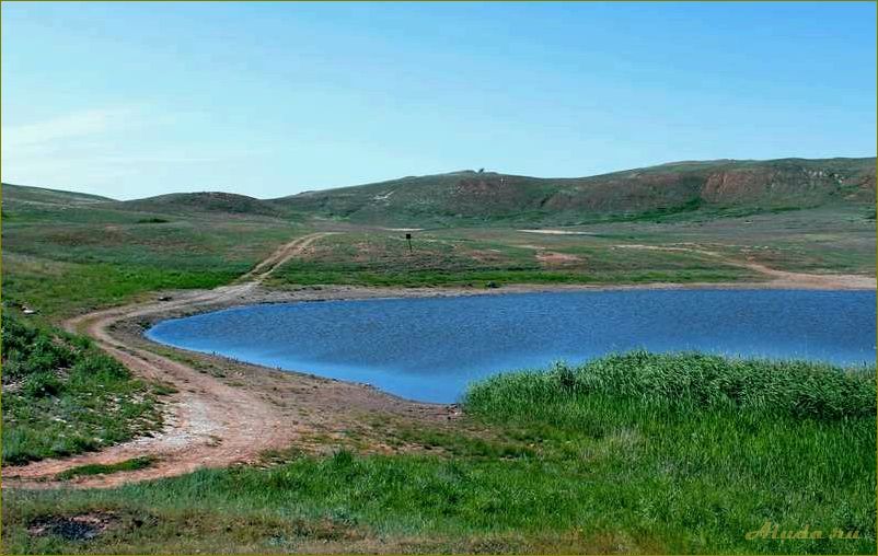 Лучшие водоемы Оренбургской области, идеальные для отдыха и рыбалки