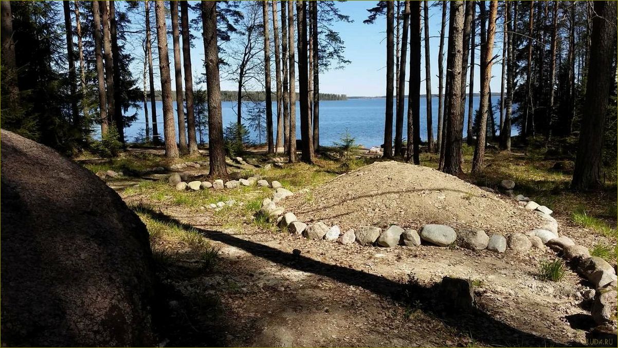 Уникальная база отдыха в Ленинградской области, где вас ждет настоящее саперное приключение