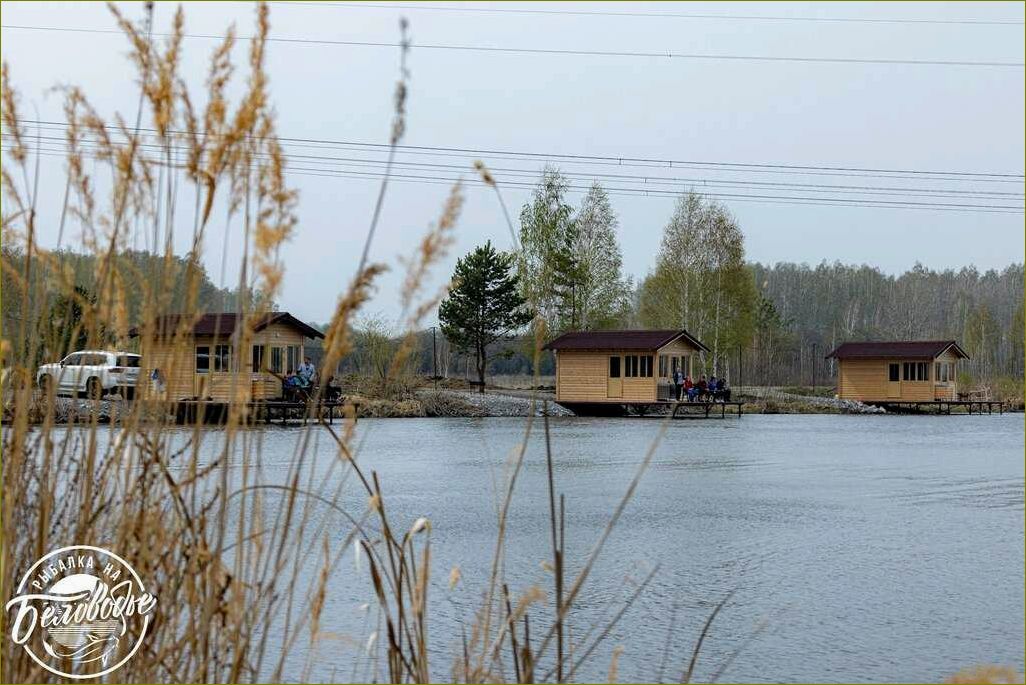 Уникальные базы отдыха на красивейших водоемах белгородской области — наслаждайтесь природой и комфортом!