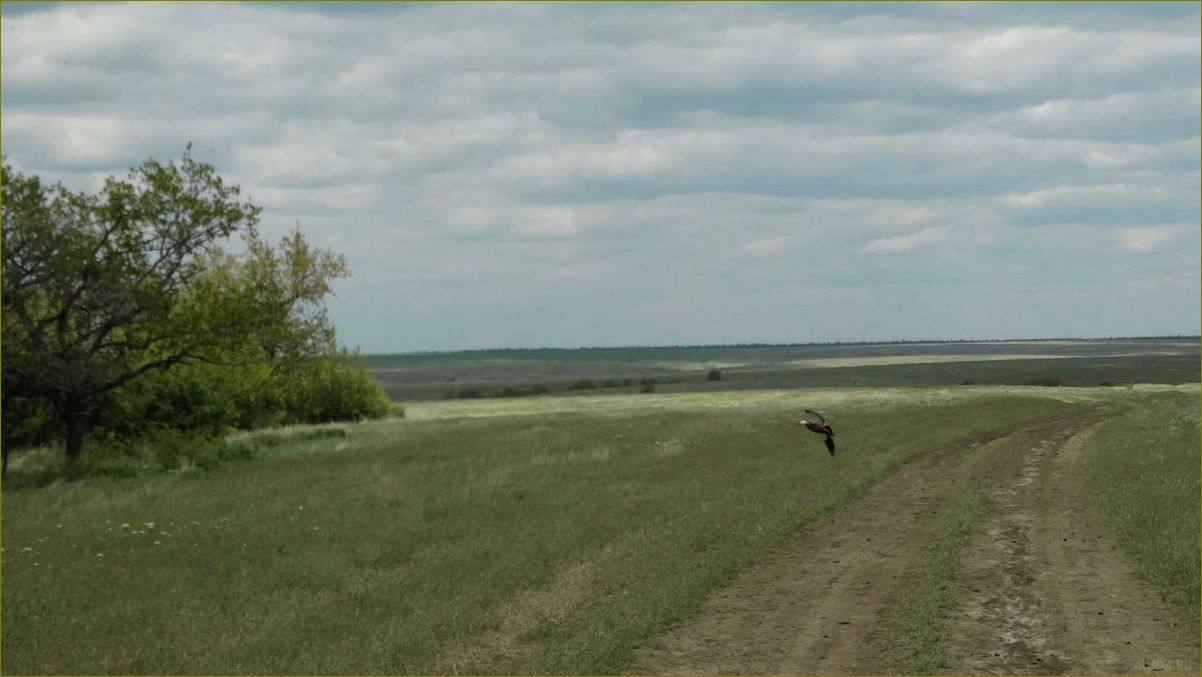 Отдых на природе в суровикинском районе Волгоградской области — лучшие базы для полноценного отдыха и наслаждения природой