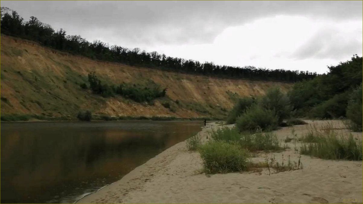 Кривоборье Воронежская область — отдых с палатками в природном заповеднике