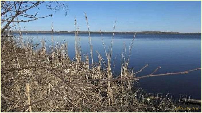 Приятный отдых на озере Молтаево в Свердловской области