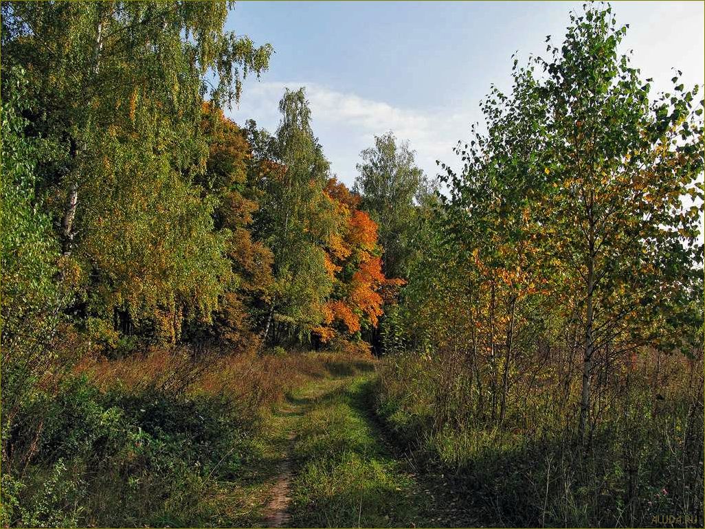 Лучшие места для отдыха в сентябре в Московской области — идеальное сочетание природы, истории и комфорта