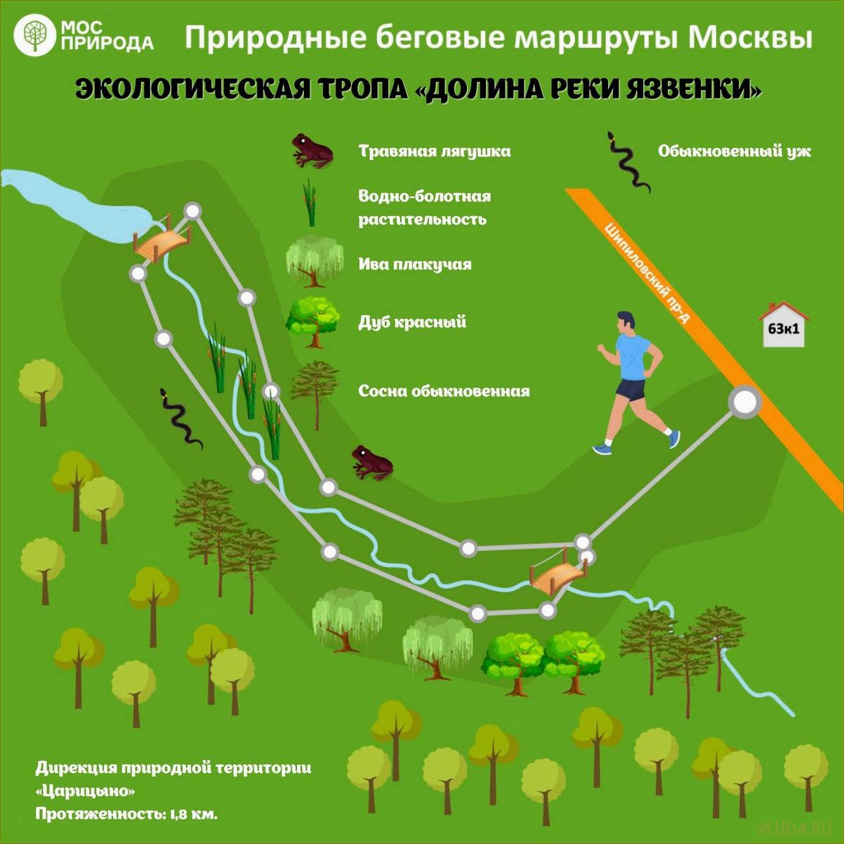 Развитие туризма в Московской области — перспективы и возможности