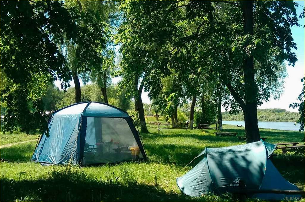 Рыбалка и отдых в палатках в живописной Московской области — идеальное сочетание природы и увлекательного времяпровождения