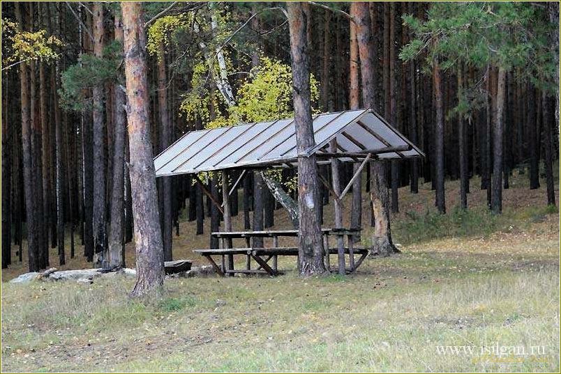 База отдыха Травакуль Челябинская область