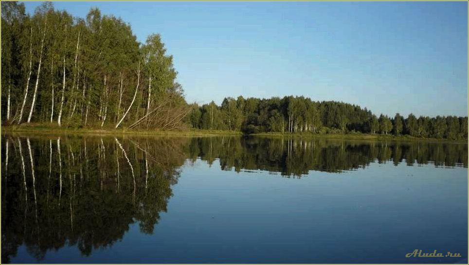 Базы отдыха на Кармановском водохранилище Смоленская область