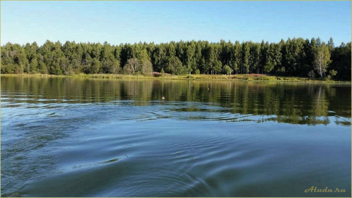 Базы отдыха на Кармановском водохранилище Смоленская область