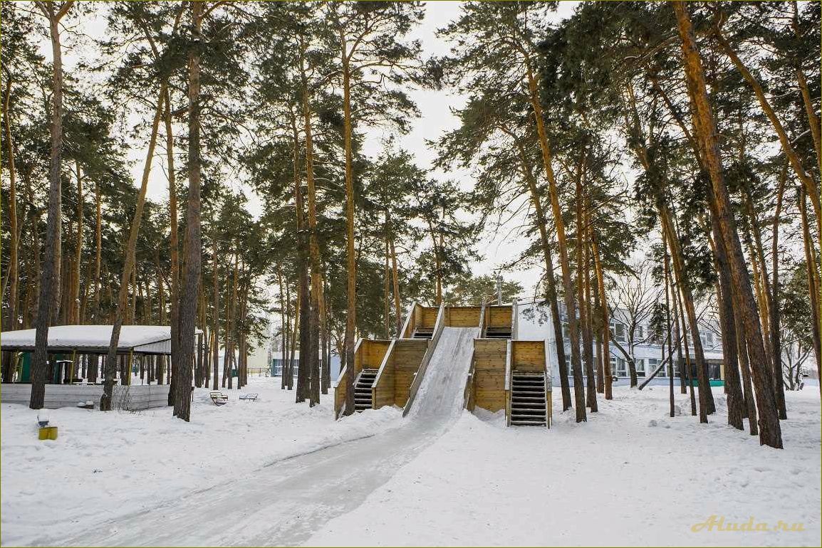 Дома отдыха в Омской области — цены, условия проживания и отзывы