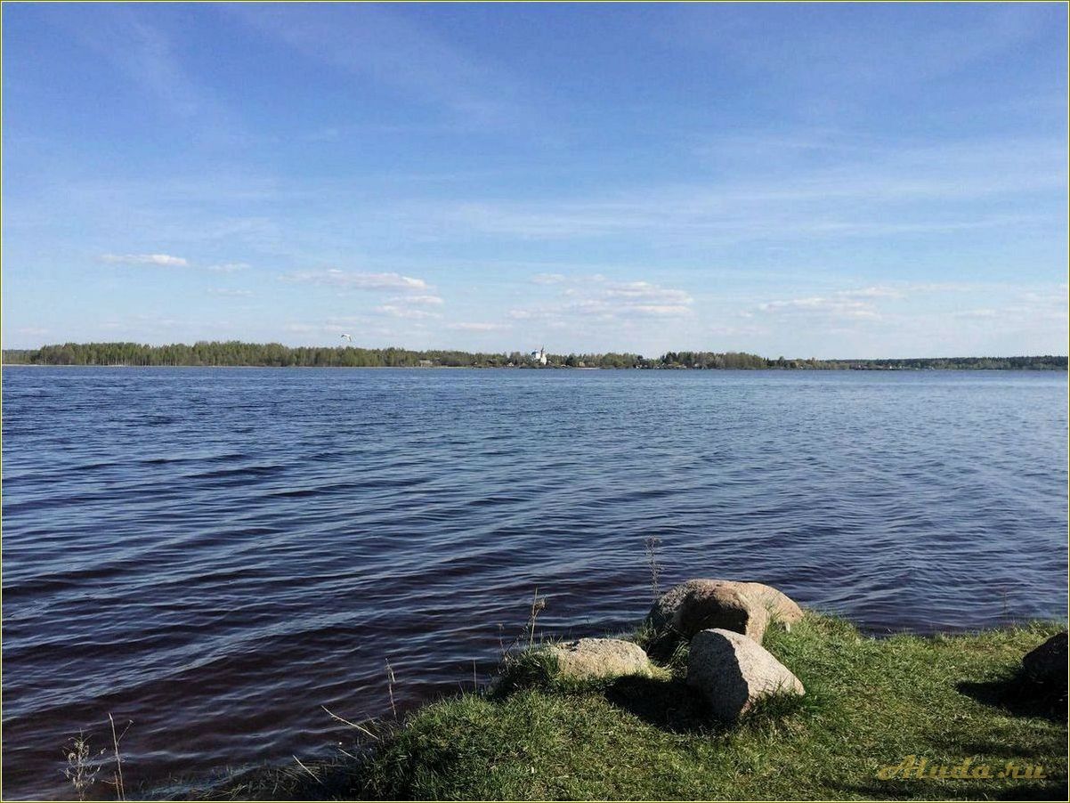 Отдых на озере Пено Тверская область