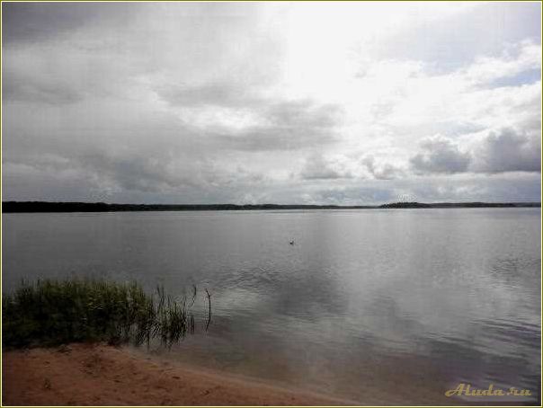 Отдых на озере Пено Тверская область