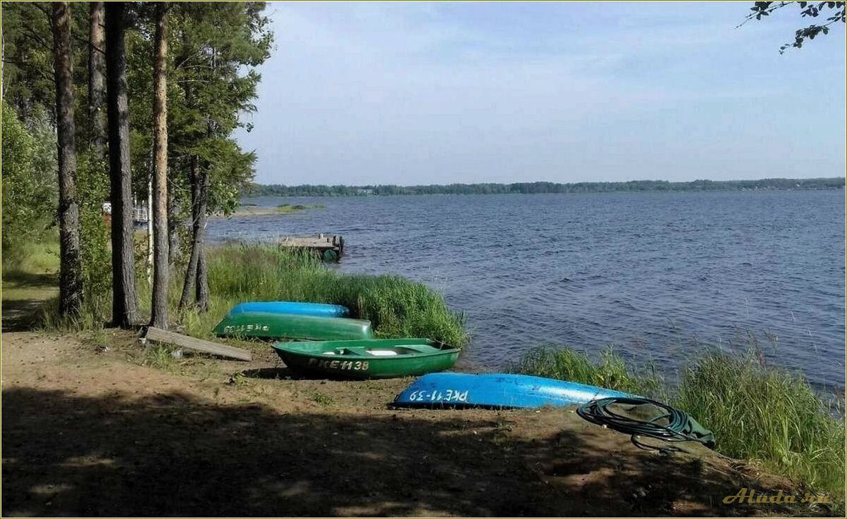 Отдых на озере Пено Тверская область