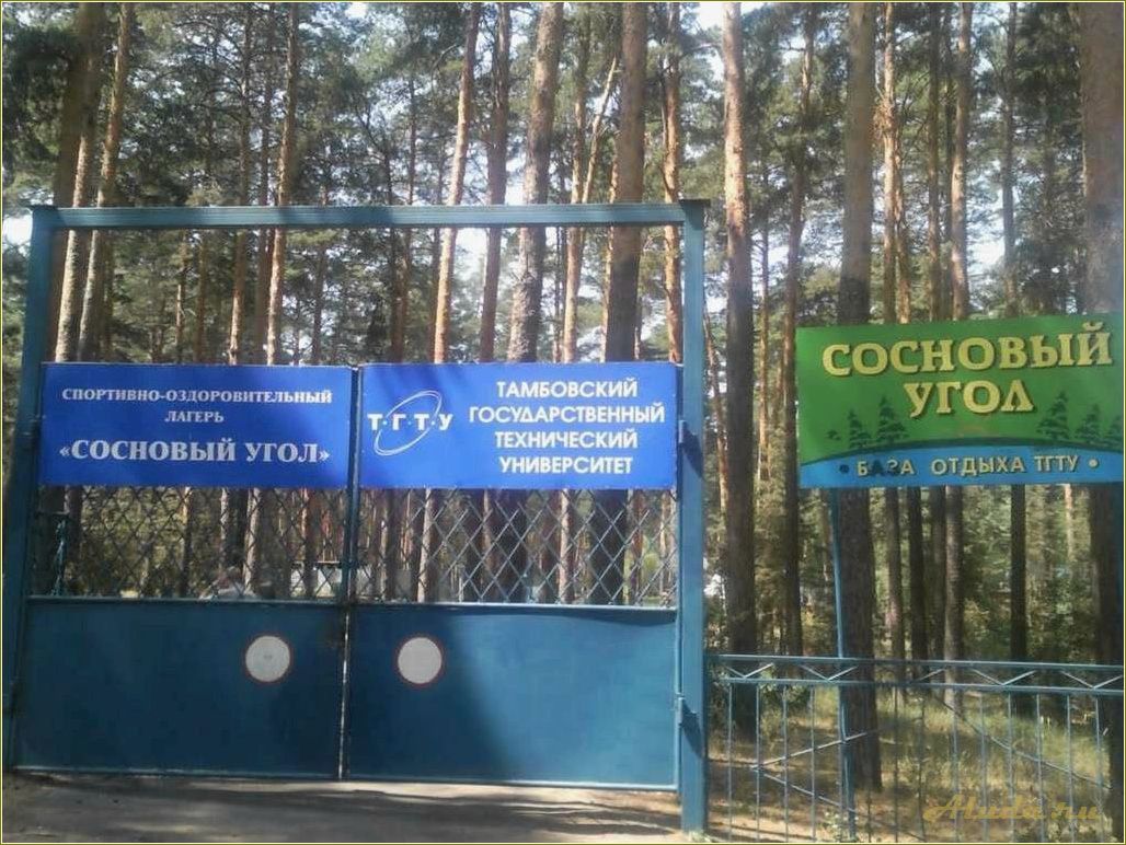 Отдых в сосновом углу Тамбовской области