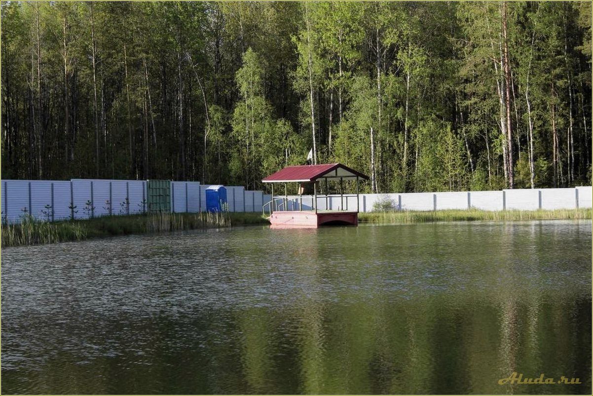 Отдых с палатками в Пошехонье, Ярославская область: лучшие места и советы