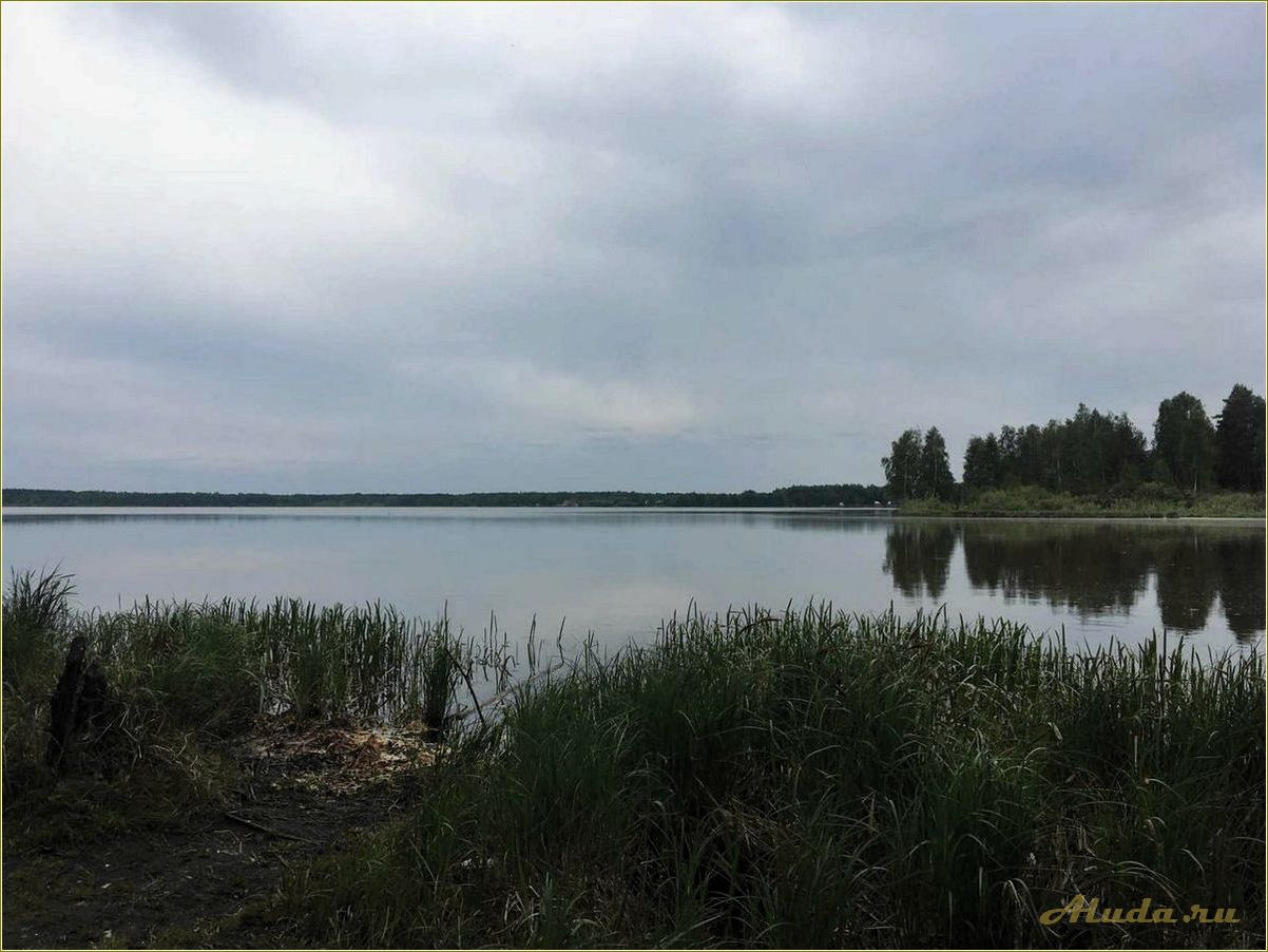 Отдых и рыбалка на озерах Рязанской области — лучшие места для активного отдыха на природе