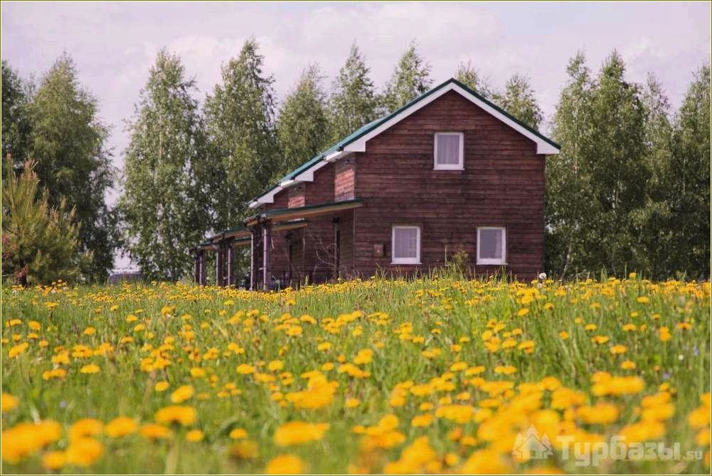 Сельский отдых в Рязанской области — идеальный способ побегать от городской суеты и насладиться природой