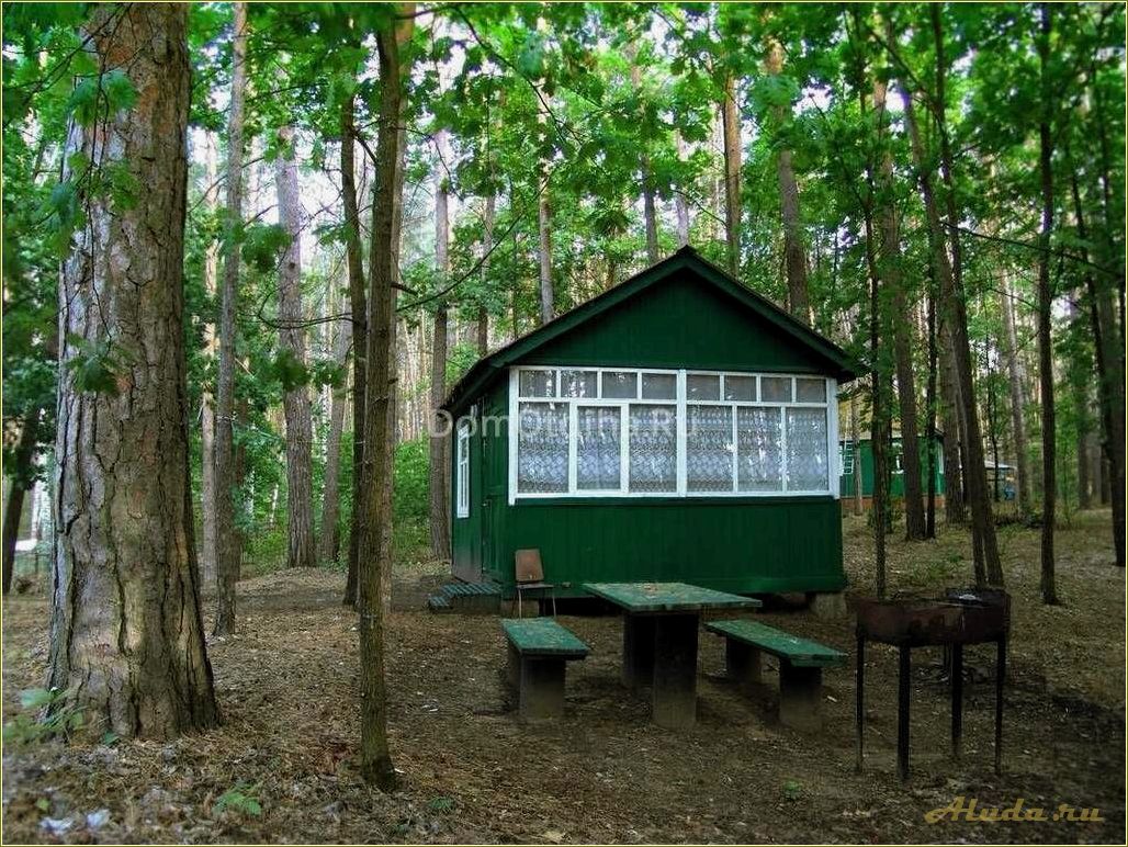 Лучшие базы отдыха в Ульяновской области