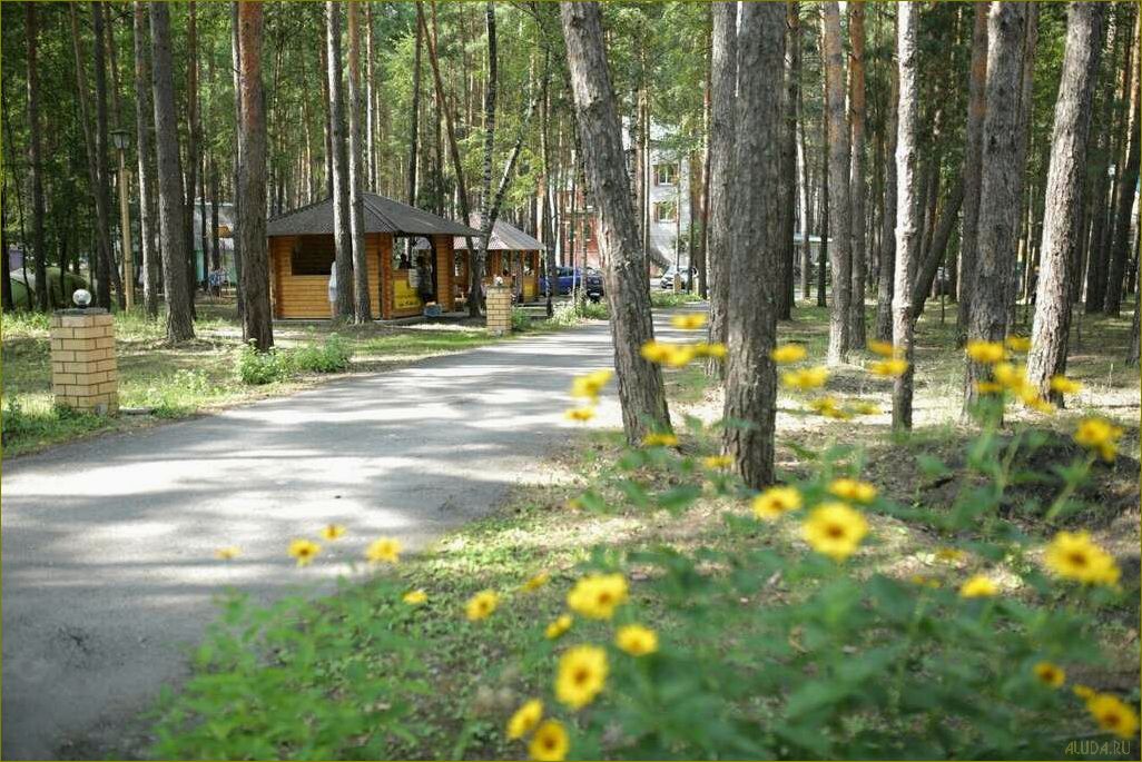 Уникальная база отдыха в казинке Липецкой области — насладитесь прекрасной природой, комфортом и разнообразием развлечений