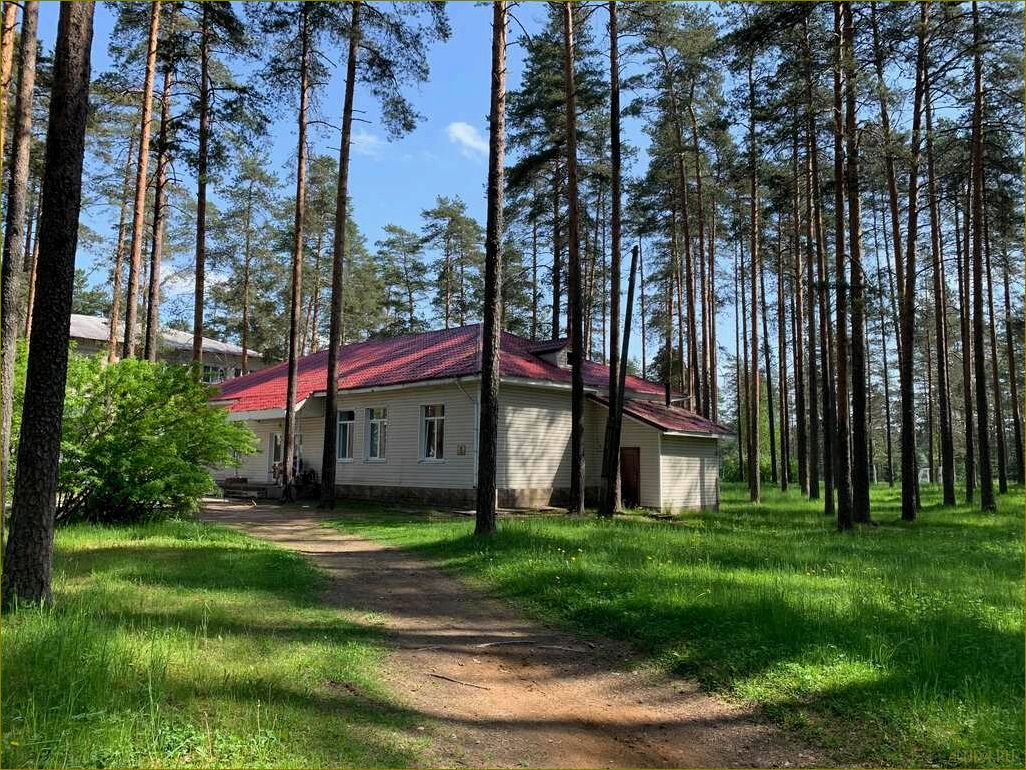 Детский лагерь отдыха в Ленинградской области — незабываемые приключения, развитие и новые друзья