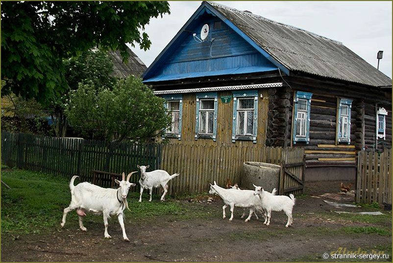 Достопримечательности деревни Коза Ярославской области