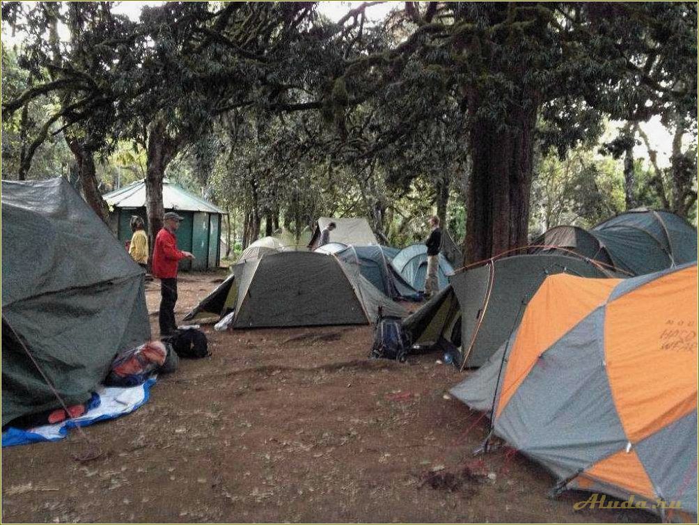 Лучшие пункты для кемпинга и палаточного отдыха в Самарской области