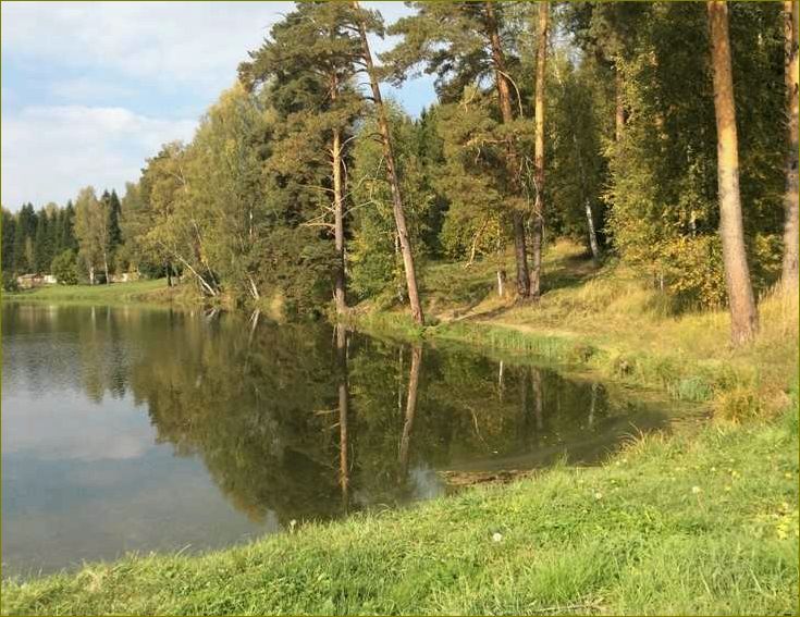 Уникальные возможности для отдыха и развлечений в Доме отдыха Кольчугино во Владимирской области