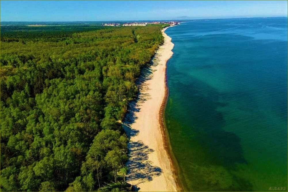 Калининградская область — где лучше отдохнуть — в Калининграде, Светлогорске или Зеленоградске?