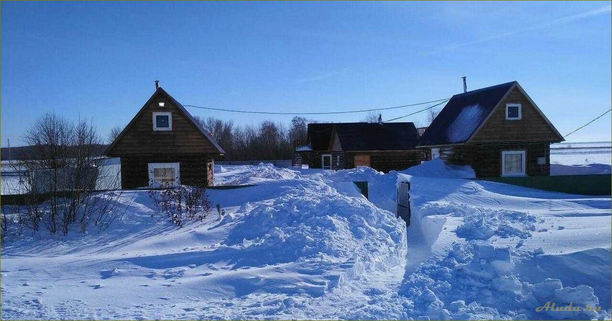 Крутинка Омская область база отдыха — отличный выбор для активного отдыха и насыщенного отдыха