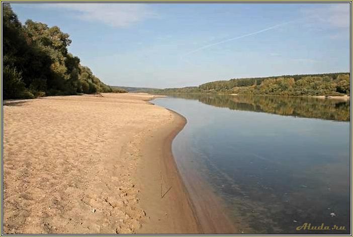 Отдых на оке в Тульской области