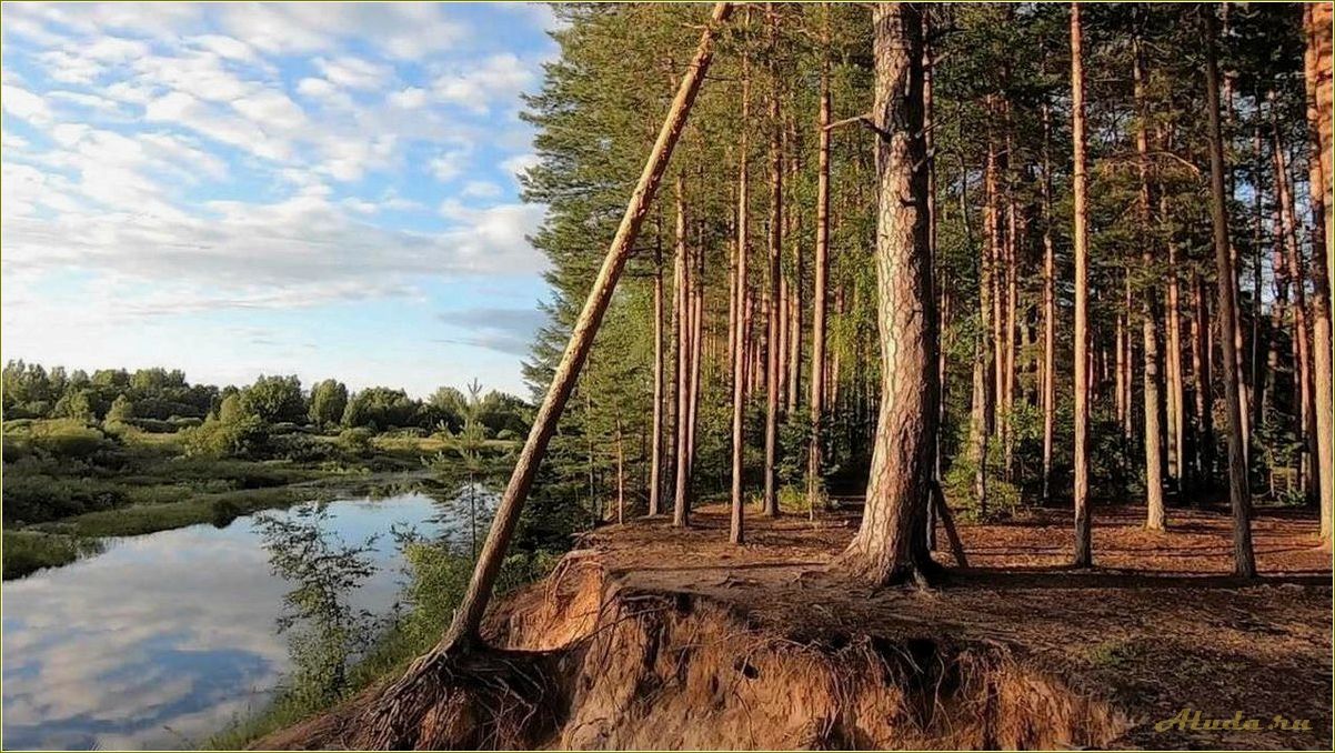 Отдых на реке Медведица Тверская область