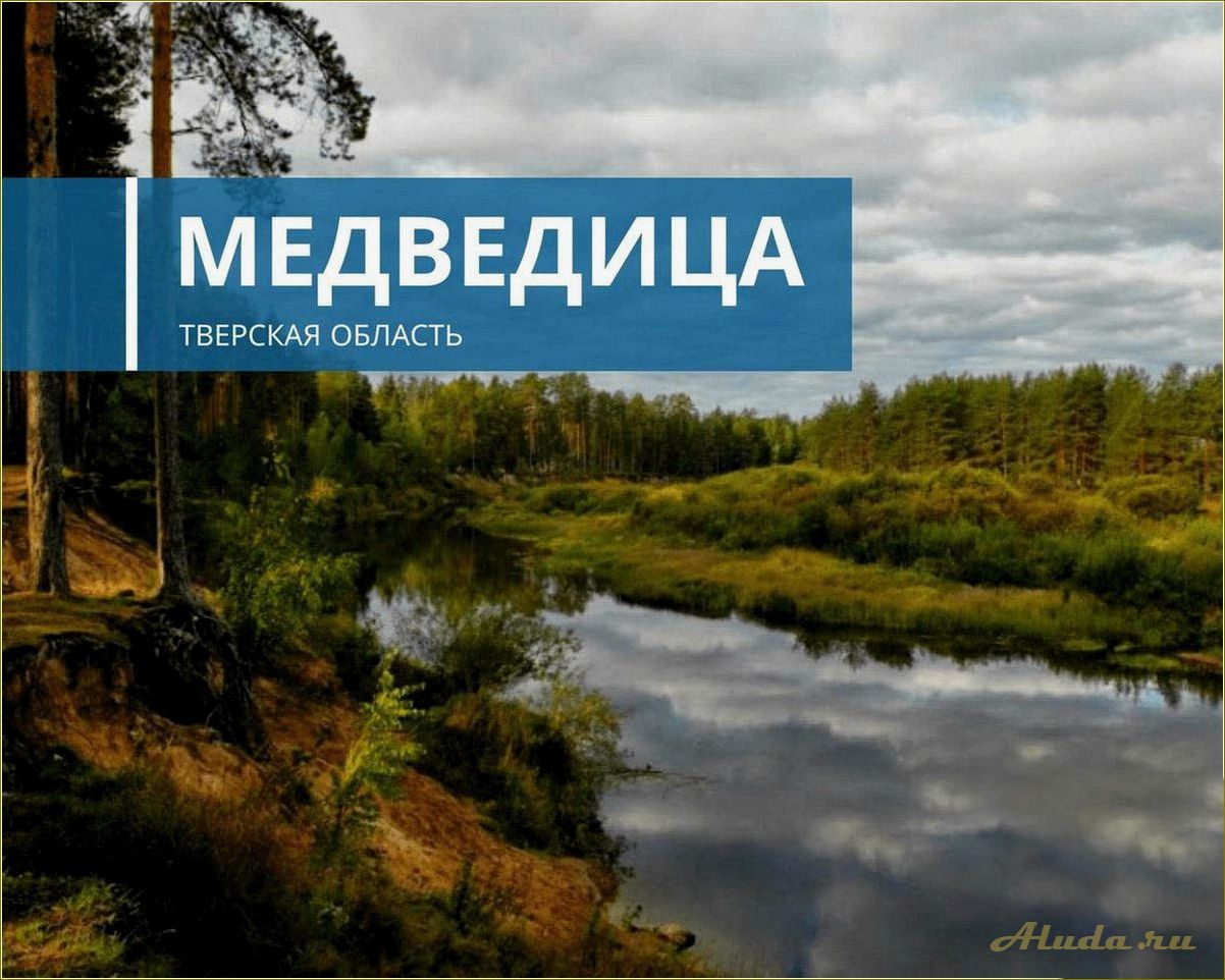 Отдых на реке Медведица Тверская область