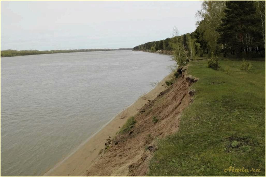 Отдых в Киреевске, Томская область: лучшие места и развлечения