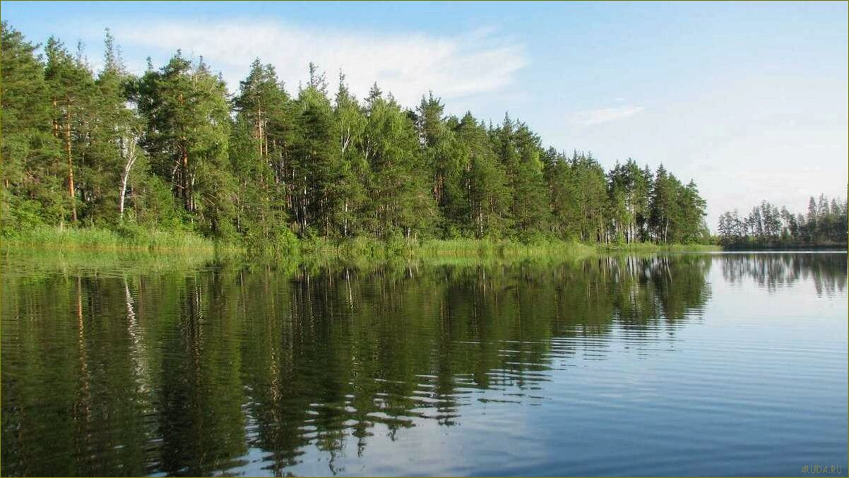 Отдых во Владимирской области у озера — лучшие варианты недорогого отдыха для всей семьи