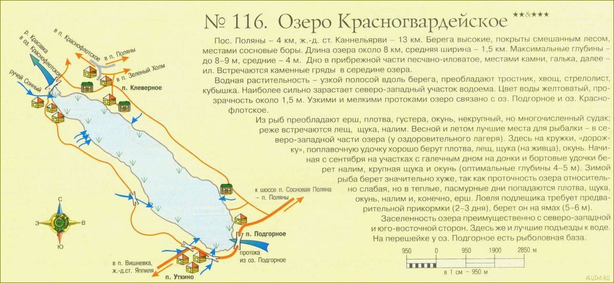 Отдых на озере Красногвардейское в Ленинградской области — прекрасная возможность насладиться природой  