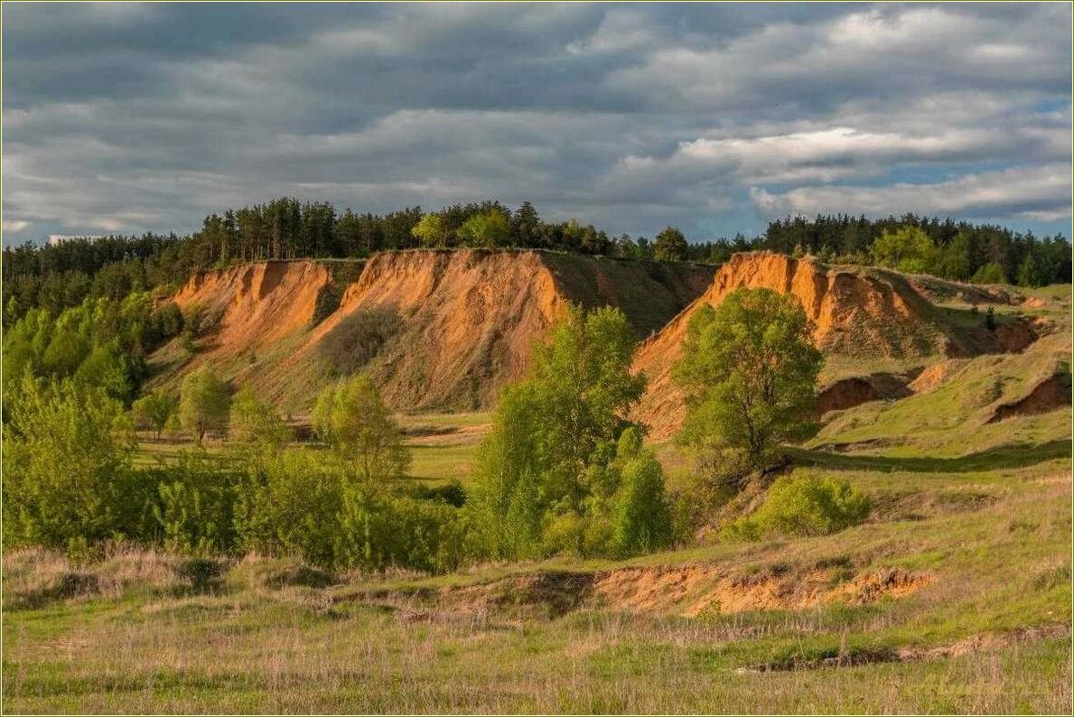 Отдых в Сосновке Тамбовской области