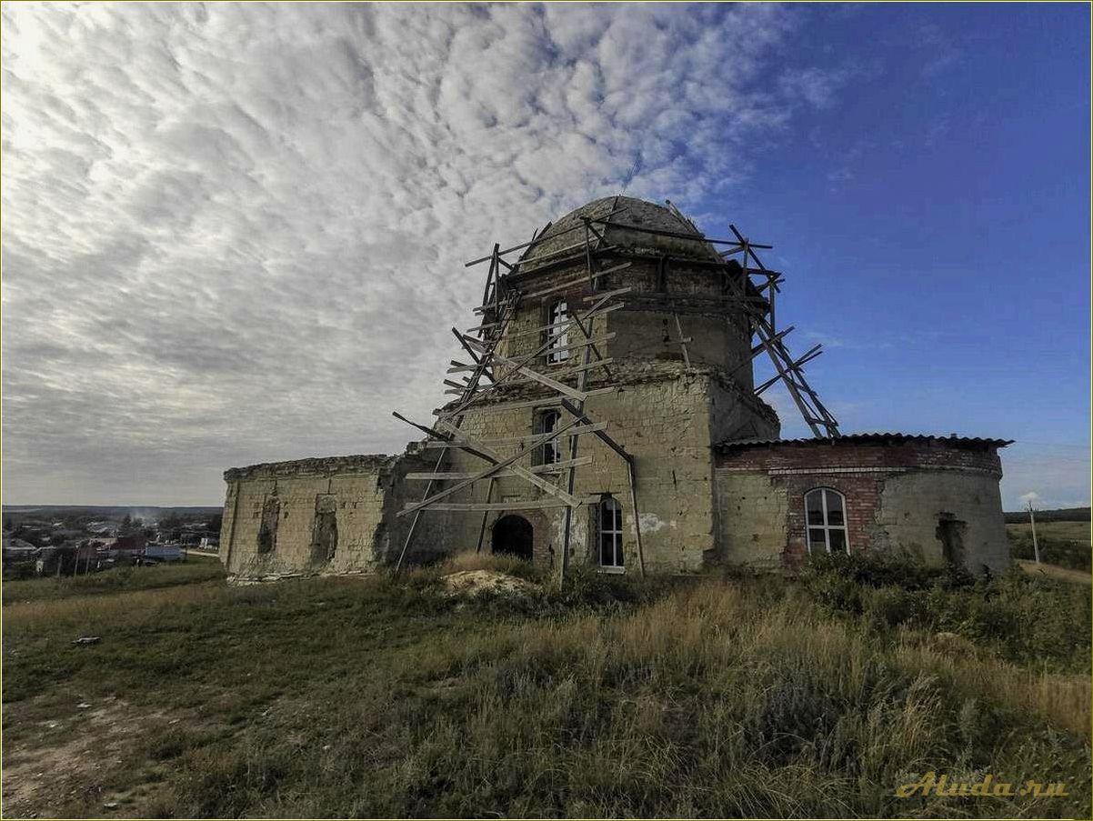 Николаевка Саратовская область Лысогорский район отдых