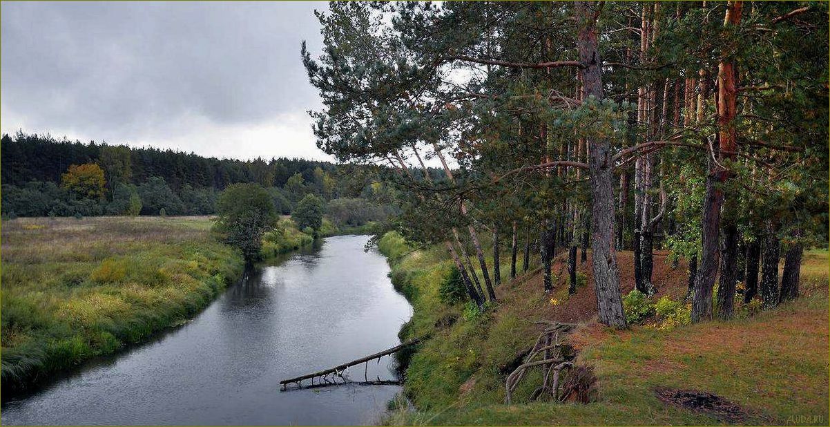 Отдых во Владимирской, Ивановской и Ярославской областях — лучшие места для отпуска и развлечений