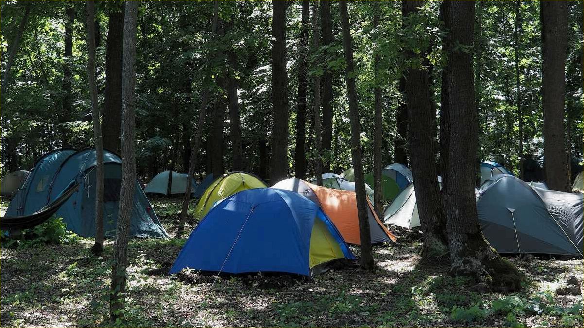 Отдых с палаткой в Воронежской области — лучшие места для природного отдыха, удивительные пейзажи и незабываемые впечатления