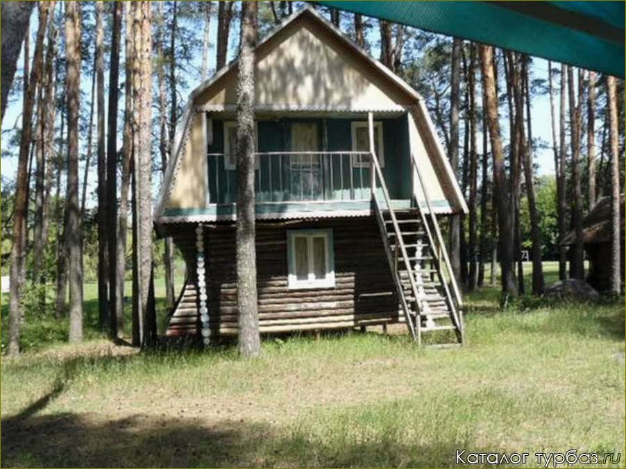Уникальные возможности и преимущества отдыха в доме отдыха Шебекино в Белгородской области 