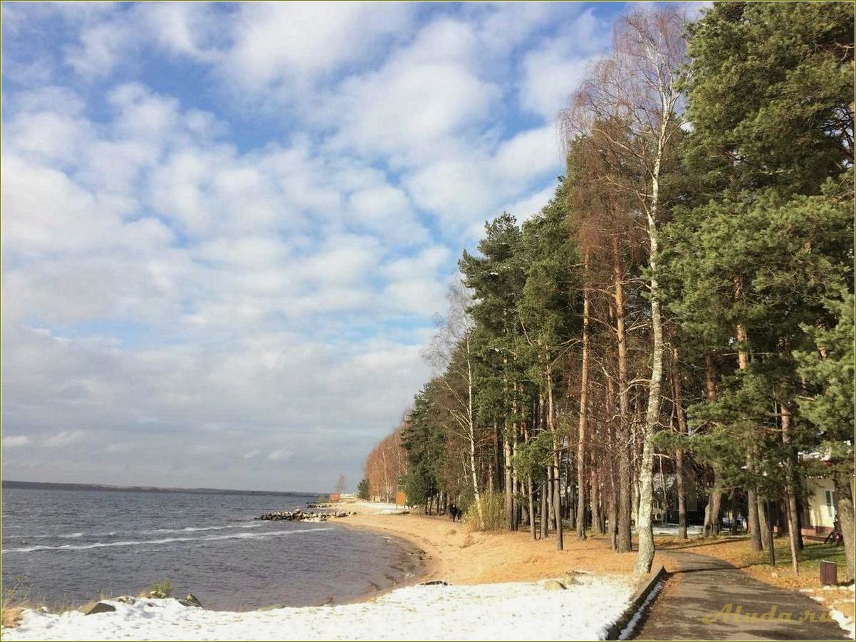 (дома, отдыха, рыбинском, водохранилище, цены) Дома отдыха на Рыбинском водохранилище: цены в Ярославской области